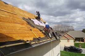 Best Roof Moss and Algae Removal  in Birch Bay, WA